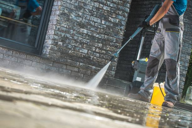 Best Gutter Cleaning  in Walled Lake, MI